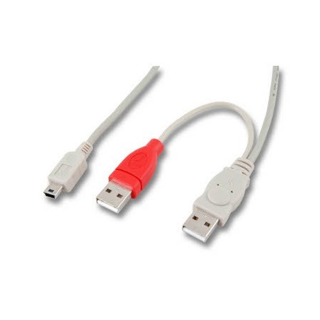 Adaptateur Doubleur 2xUSB type A M vers mini USB type B M - 1m