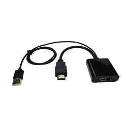 Adaptateur HDMI M vers DisplayPort F - 0.2m - avec cordon USB - 0.8m
