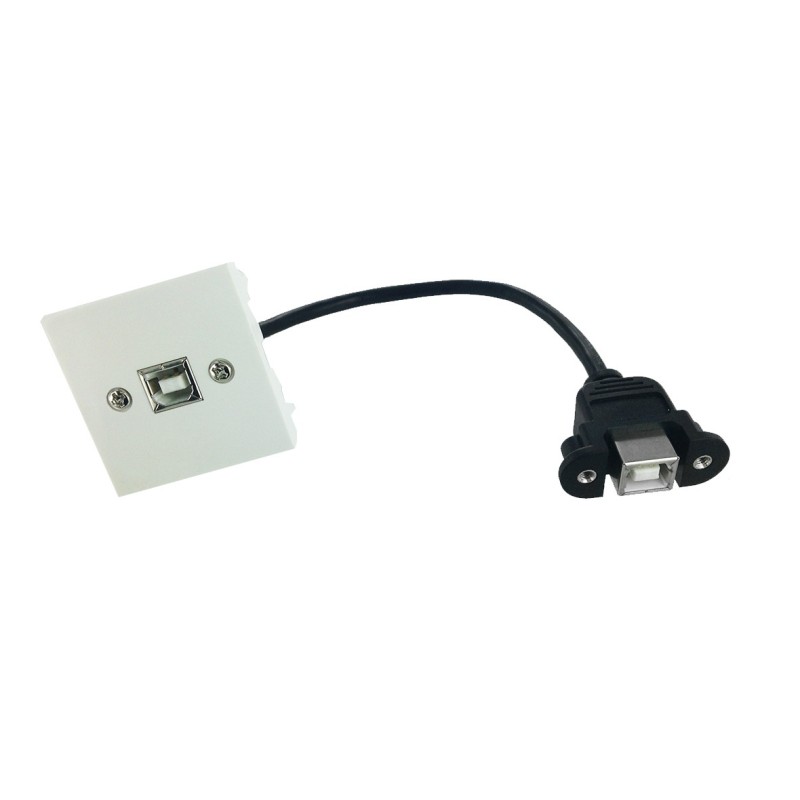 Plastron 45x45 USB2.0 B F vers F - 0.20m